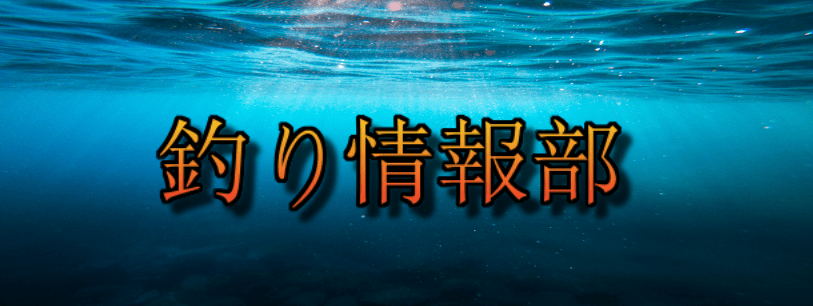 釣り情報部